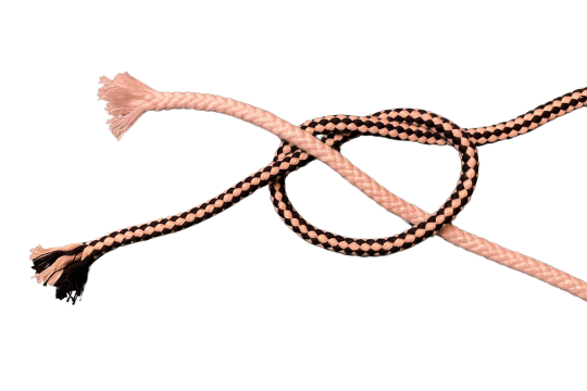 knotenhalfter_grundknoten_schritt2